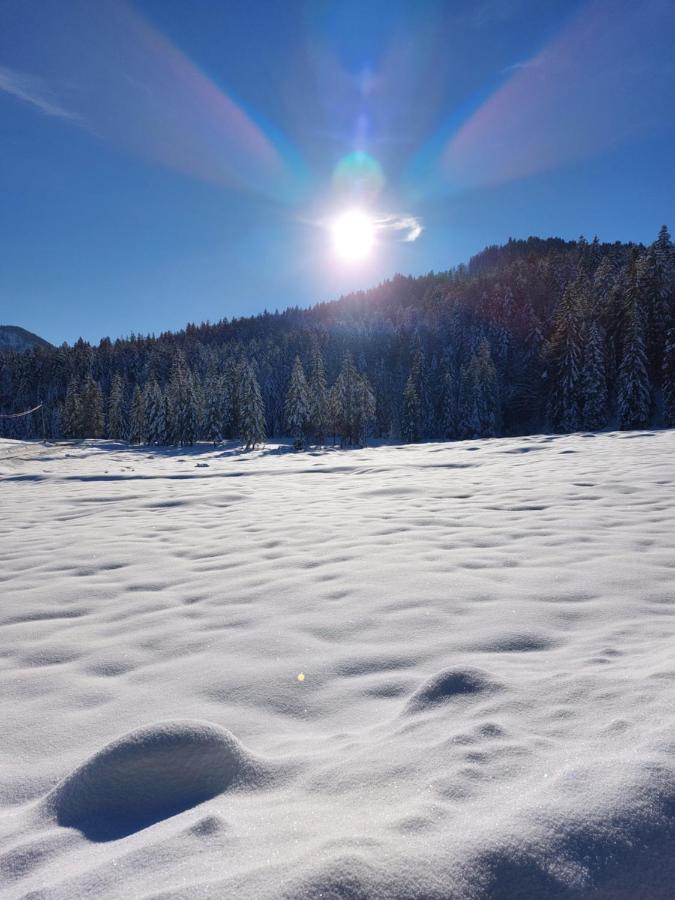 Bichlhof Riedenberg Villa Thiersee Bagian luar foto