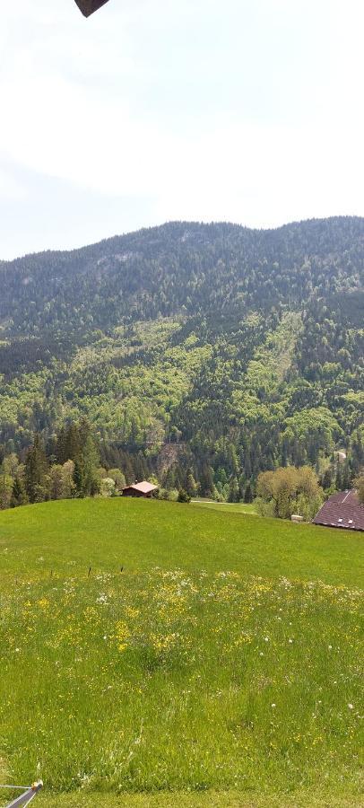 Bichlhof Riedenberg Villa Thiersee Bagian luar foto